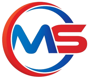 MS INFOTECH Logo